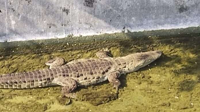 WhatsApp Image 2025-09-16 at 8.59.18 AM