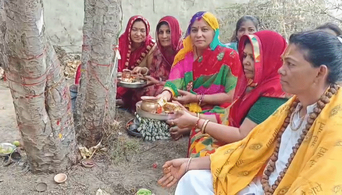 Screenshot 2025-10-31 115127