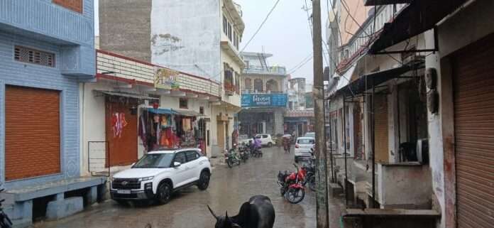 WhatsApp Image 2025-10-28 at 8.33.40 PM