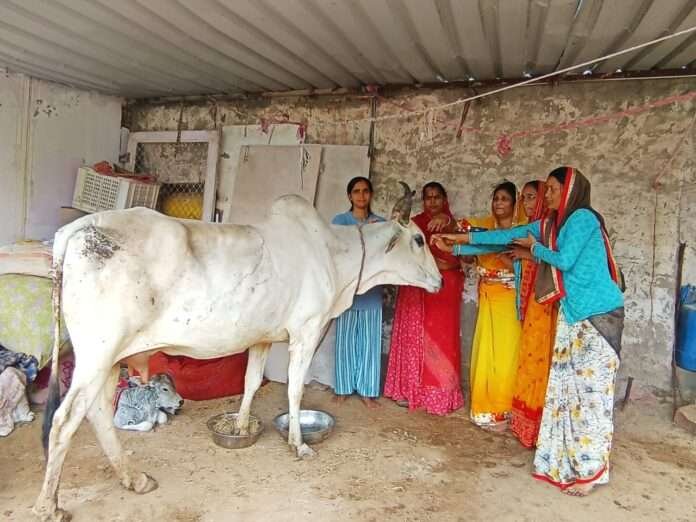 WhatsApp Image 2025-10-30 at 10.26.18 AM (1)