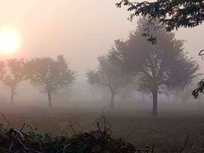 WhatsApp Image 2025-11-01 at 8.28.41 AM