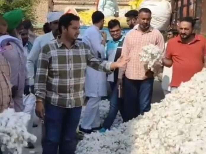 WhatsApp Image 2025-11-03 at 7.07.28 PM