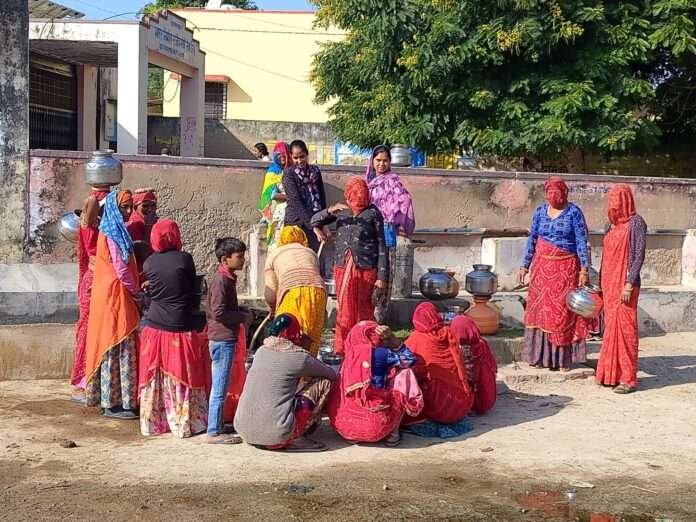 WhatsApp Image 2025-11-12 at 4.34.55 PM