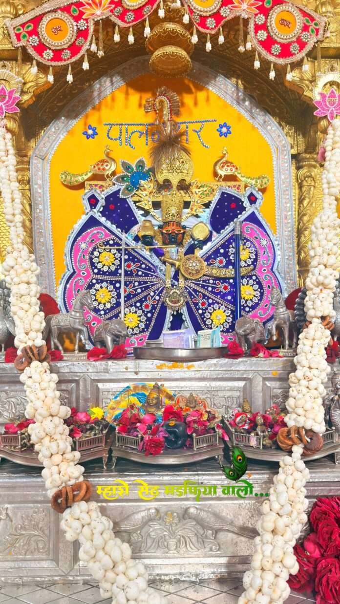 WhatsApp Image 2025-11-19 at 3.31.58 PM