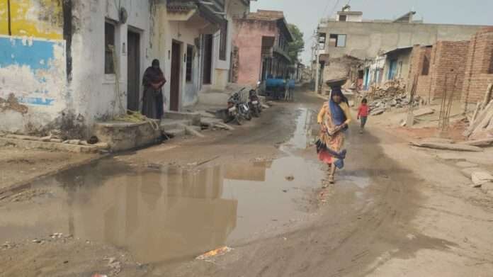 WhatsApp Image 2025-11-25 at 2.32.37 PM