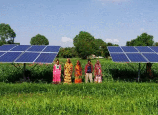 दुनिया भर में जलवायु-अनुकूल कृषि, आपदा प्रबंधन व नवीनीकृत ऊर्जा के प्रयास