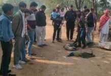 राष्ट्रीय पक्षी मोरों पर मौत का साया