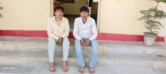 WhatsApp Image 2025-12-11 at 12.34.10 PM