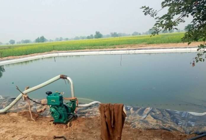 WhatsApp Image 2025-12-12 at 6.26.38 AM