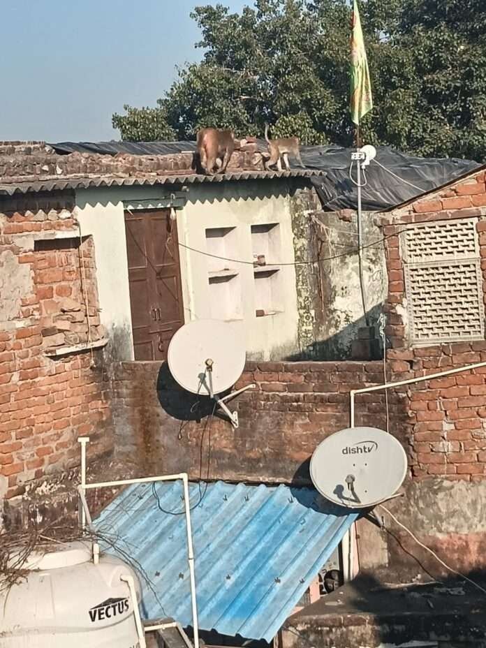 WhatsApp Image 2025-12-20 at 4.45.46 PM