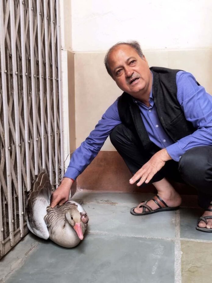 WhatsApp Image 2025-12-29 at 6.29.27 PM