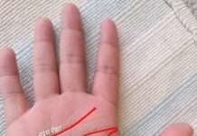 हस्तरेखा विज्ञान में जीवन रेखा का महत्व