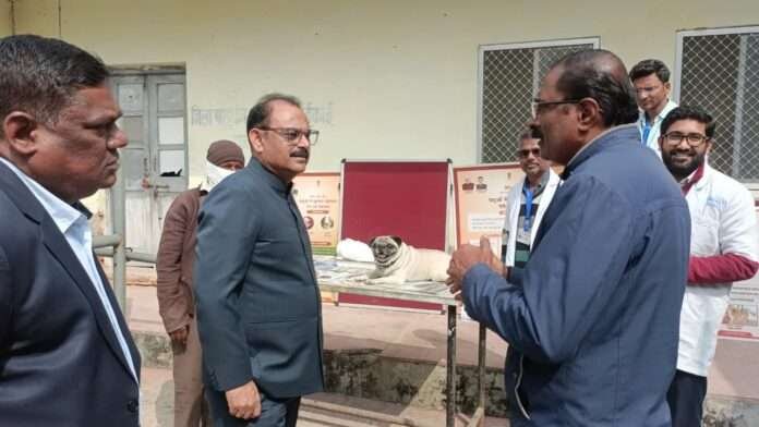 WhatsApp Image 2026-01-31 at 4.35.57 PM