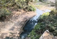 चौमहला में सफाई व्यवस्था चरमराई, कर्मचारियों की हड़ताल से बढ़ी परेशानी