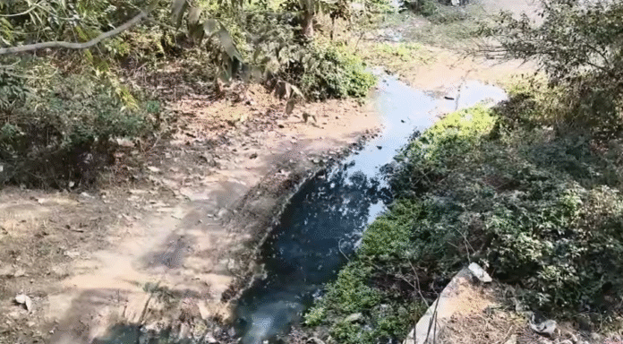 Screenshot 2026-02-14 110432