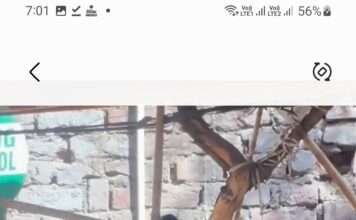 बछड़े का सिर काट कर लटकाया, खाचरियावास ने लगाया सरकार पर आरोपी को बचाने का आरोप