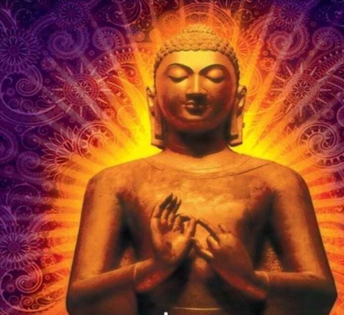 Screenshot_20260213_220722_Google