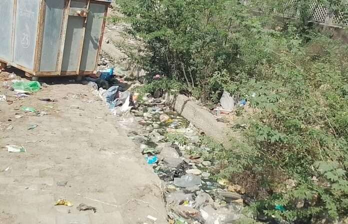 WhatsApp Image 2026-02-14 at 5.38.05 PM