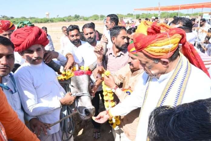 WhatsApp Image 2026-02-15 at 6.28.02 PM