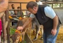 गोहत्या मामले में वीडियो जारी, खाचरियावास ने सरकार पर लगाए गंभीर आरोप