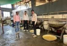 खाटू मेले में चिकित्सा विभाग की कार्रवाई, 60 किलोग्राम दूषित चूरमा नष्ट