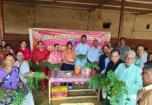 उनियारा में 44वीं गो सेवा का आयोजन