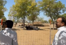 अर्बुदा नंदीशाला की ₹1.50 करोड़ की किश्त नगर परिषद में अटकी, पूर्व विधायक ने उठाया मुद्दा