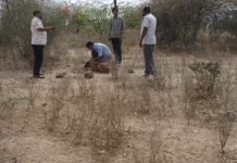 पादूकलां में बुजुर्ग महिला हत्याकांड: परिजन धरने पर