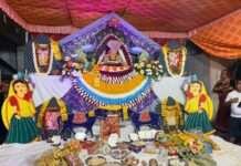 बड़ोदिया बस्ती में दसवां फाग उत्सव बना जनआस्था का महाकुंभ