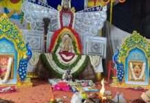 रंग रंगीला फागोत्सव श्री श्याम संकीर्तन आयोजित