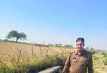 स्कूली बच्चों से भरा टेम्पू पलटा, कई घायल