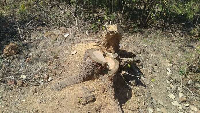 WhatsApp Image 2026-03-09 at 3.05.59 PM