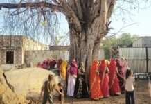 महिलाओं ने दशा माता व्रत कर परिवार की सुख-शांति की कामना की