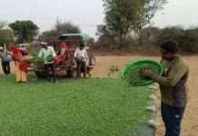 गेहूं-जौ की पक चुकी फसल की कटाई में जुटे किसान, बाजारों में छाई सुस्ती