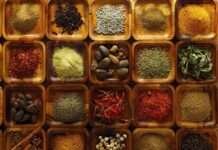 पान मैथी व मसाला प्रसंस्करण पर जिला स्तरीय कार्यशाला कल