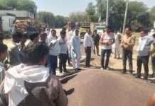 उनियारा मंडी में सरसों की बम्पर आवक, किसानों और व्यापारियों में उत्साह