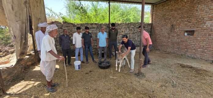 WhatsApp Image 2026-03-17 at 10.19.08 AM