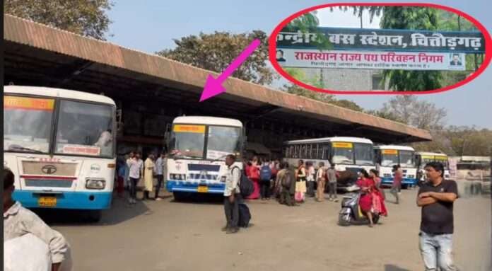 WhatsApp Image 2026-03-25 at 7.01.46 PM