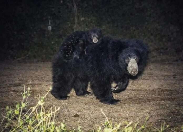 WhatsApp Image 2026-03-30 at 9.18.00 AM