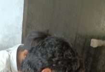 हाउस होल्ड सर्वे अभियान की खुली पोल, टीचर्स की जगह दूसरे कर रहे हैं काम