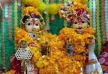 नागौर में धींगा गवर उत्सव हर्षोल्लास से जारी