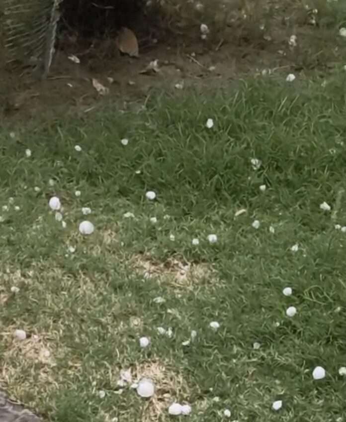 WhatsApp Image 2026-04-05 at 1.47.03 PM