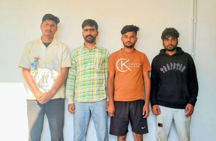 WhatsApp Image 2026-04-06 at 2.31.36 PM