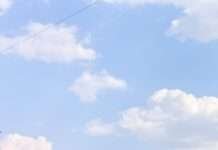 जोधपुर के अरिष्ट सिंघवी RCA एडहॉक कमेटी में मनोनीत