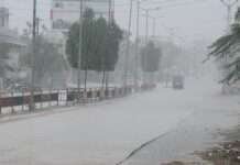 तेज बारिश और ओलावृष्टि से फसलें तबाह, किसानों की बढ़ी चिंता