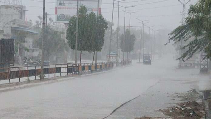 WhatsApp Image 2026-04-07 at 10.49.00 AM