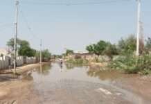 मेवड़ा–नथावड़ी–नथावड़ा मार्ग बदहाल, जलभराव और गड्ढों से बढ़ा हादसों का खतरा