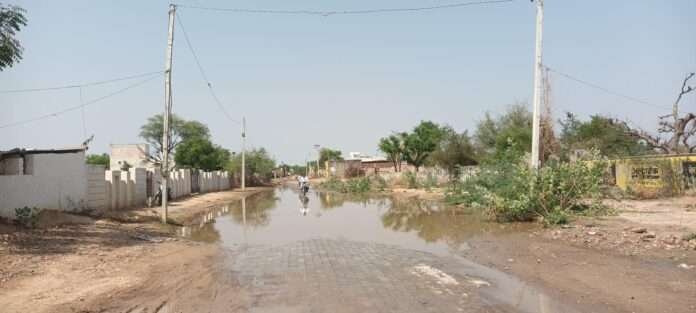 WhatsApp Image 2026-04-07 at 6.08.43 PM