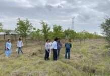 सीईओ रामप्रकाश ने पीसांगन क्षेत्र का किया दौरा, विकास कार्यों का लिया जायजा