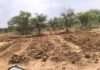 पिण्डवाड़ा में अवैध मिट्टी खनन का खेल, गोचर भूमि तक पहुंचा माफियाओं का जाल